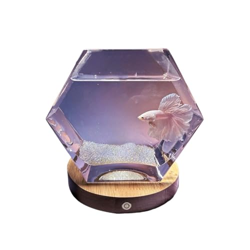 Aquarium Fighting Fish Aquarium with Base Pentagonal Transparent Glass Small Fish Tank Living Room Desktop Decorative Ornaments Fischtank von Shihan-2015