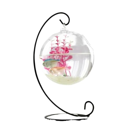 Aquarium Hängende transparente Kampffischaquarium Desktop kleines Aquarium kleines Goldfischaquariumglas Fischtank(Schwarz,Mittel) von Shihan-2015