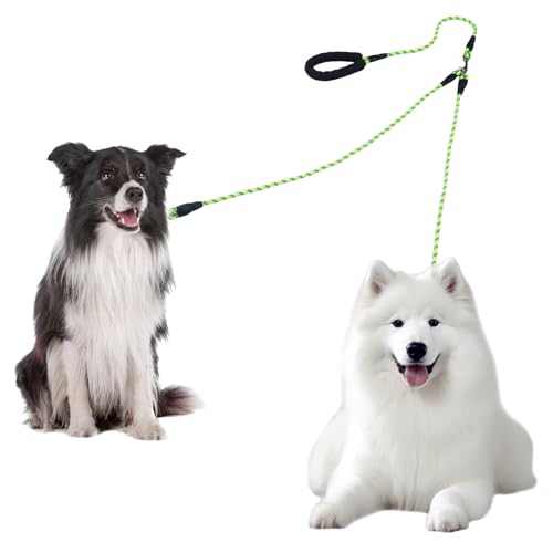 Doppelleine für 2 Hunde, Keine Verwicklung Leine für 2 Hunde, 360° Drehbare, Reflektierende Hundeleine mit Gepolsterten Griffen, Lauftraining für Kleine, Mittlere und Große Welpe (Grüner, Groß) von ShinherYee