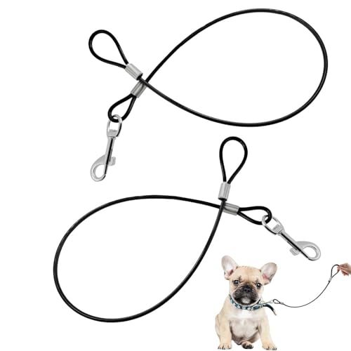 ShiningUU Hundeleinenverlängerung, kaufest, Edelstahl, robust, verheddert sich nicht, für jede Leine, Halsband und Geschirr, Schwarz, 2 Stück ShiningUU Hundeleinenverlängerung, kaufest, Edelstahl, robust, verheddert sich nicht, für jede Leine, Halsband und Geschirr, Schwarz, 2 Stück von ShiningUU