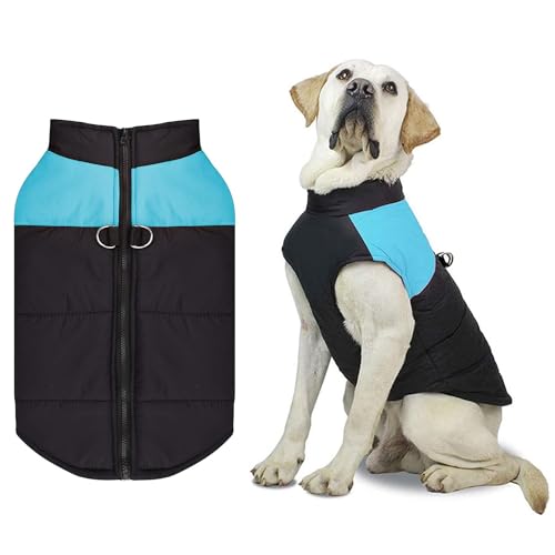 Shinmax Hundejacke für Hunde en Kat,Winterweste Jacken Hundemantel Hundepullover Weiches Baumwollfutter Haustierweste mit D-Ring Hundegeschirr Winter Winddichte Schneeanzugweste Hundekleidung von Shinmax
