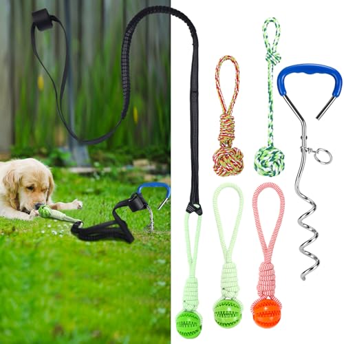 Shinylin 6 Stück Hunde-Bungee-Zerrspielzeug mit Heringen, Hundespielzeug-Set, Outdoor-Kau- und Haltegurt, Spielschnur, interaktives Zubehör für drinnen und draußen, Rasen, Bäume, groß, mittel, klein Shinylin 6 Stück Hunde-Bungee-Zerrspielzeug mit Heringen, Hundespielzeug-Set, Outdoor-Kau- und Haltegurt, Spielschnur, interaktives Zubehör für drinnen und draußen, Rasen, Bäume, groß, mittel, klein von Shinylin