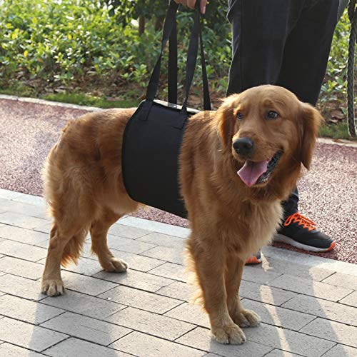 Shipenophy Lift Assist Support Sling Supportive Hundesicherheit Support Pet Dog Support Harness Dog Lifting Harness für alte verletzte Hunde mit schwachen Beinen(M, Black) von Shipenophy