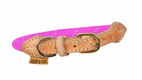 Digby & Fox Reflektierendes Hundehalsband (XXL, Rosa) von Shires