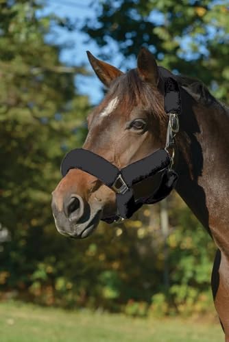 Shires ARMA SupaFleece Halfter-Set (Schwarz, 6-teilig) von Shires