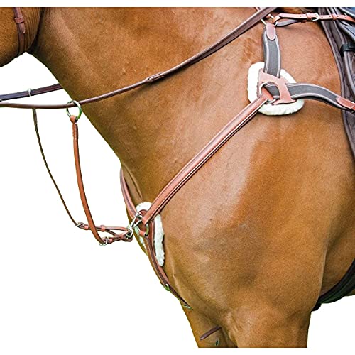 Shires Avignon 5 Point Breast Plate Extra Full Size Oak von Shires