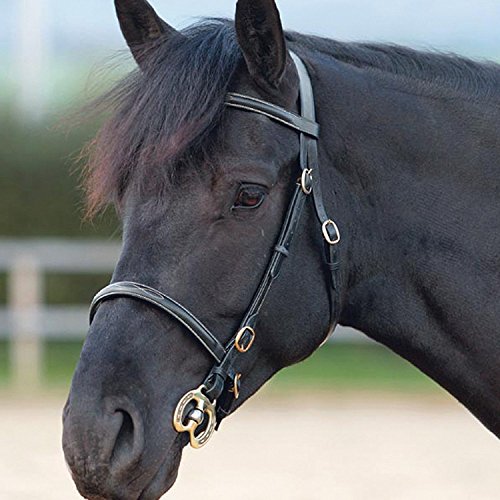 Shires Blenheim Fancy Stitched Bridle for In-Hand Full Size Black Shires Blenheim Fancy Stitched Bridle for In-Hand Full Size Black von Shires