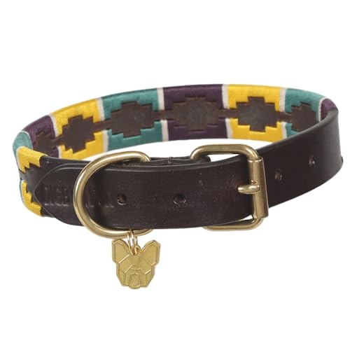 Shires Digby and Fox Dog Collar XXX Small Yellow Green Purple Shires Digby and Fox Dog Collar XXX Small Yellow Green Purple von Shires
