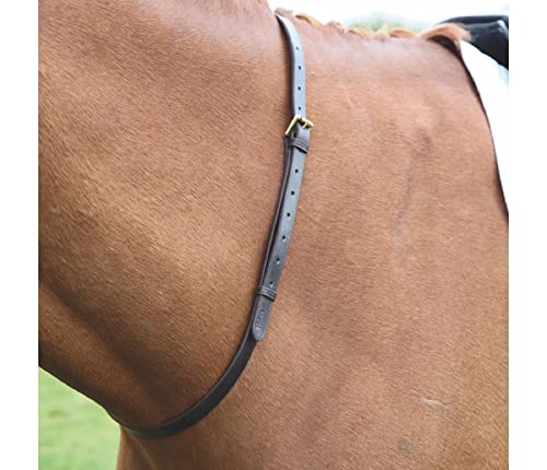 Shires Equestrian Blenheim Jockey-Halsband, Leder, Schwarz, Größe: 3/4 von Shires