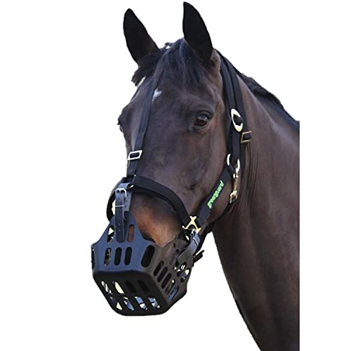 Shires Greenguard Halfter Shires Greenguard Halfter von Shires