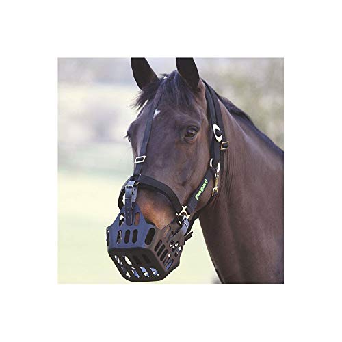Shires Greenguard Halfter Shires Greenguard Halfter von Shires