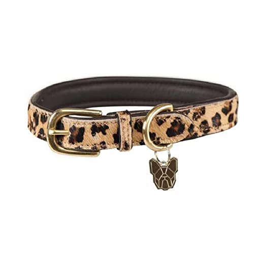 Shires Halsband mit Kuhfell-Aufdruck, für Windhunde in Medium, Leopard (Pattern) von Shires