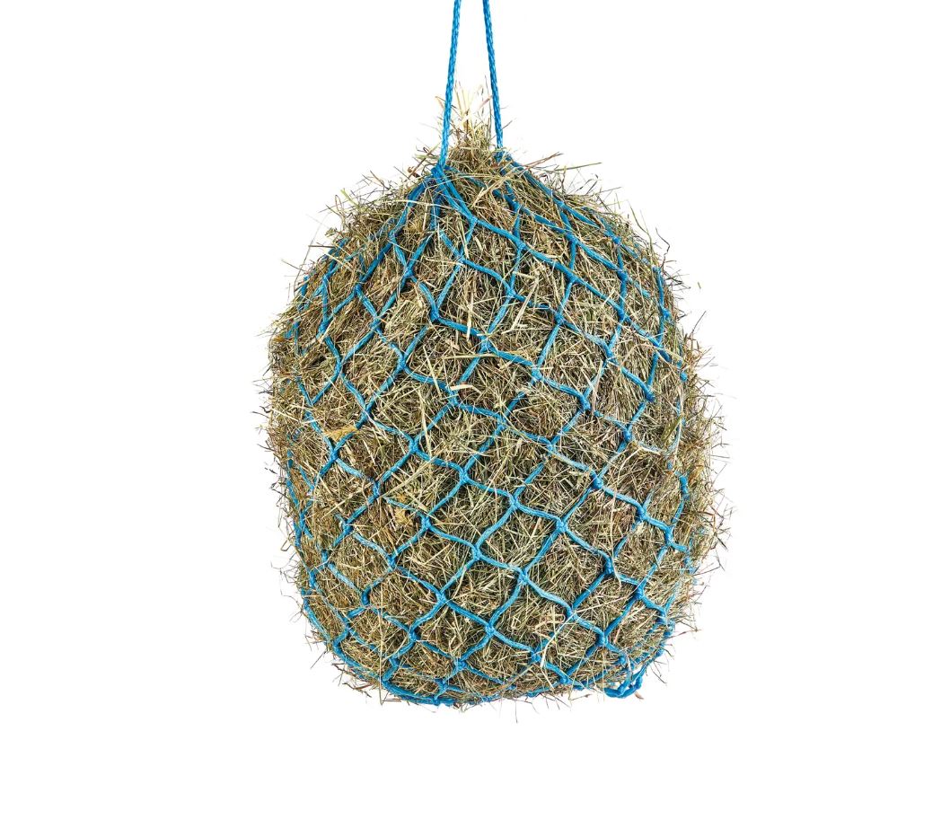 Shires Heunetz 4kg 5cm Maschenweite, Babyblau Shires Heunetz 4kg 5cm Maschenweite, Babyblau von Shires