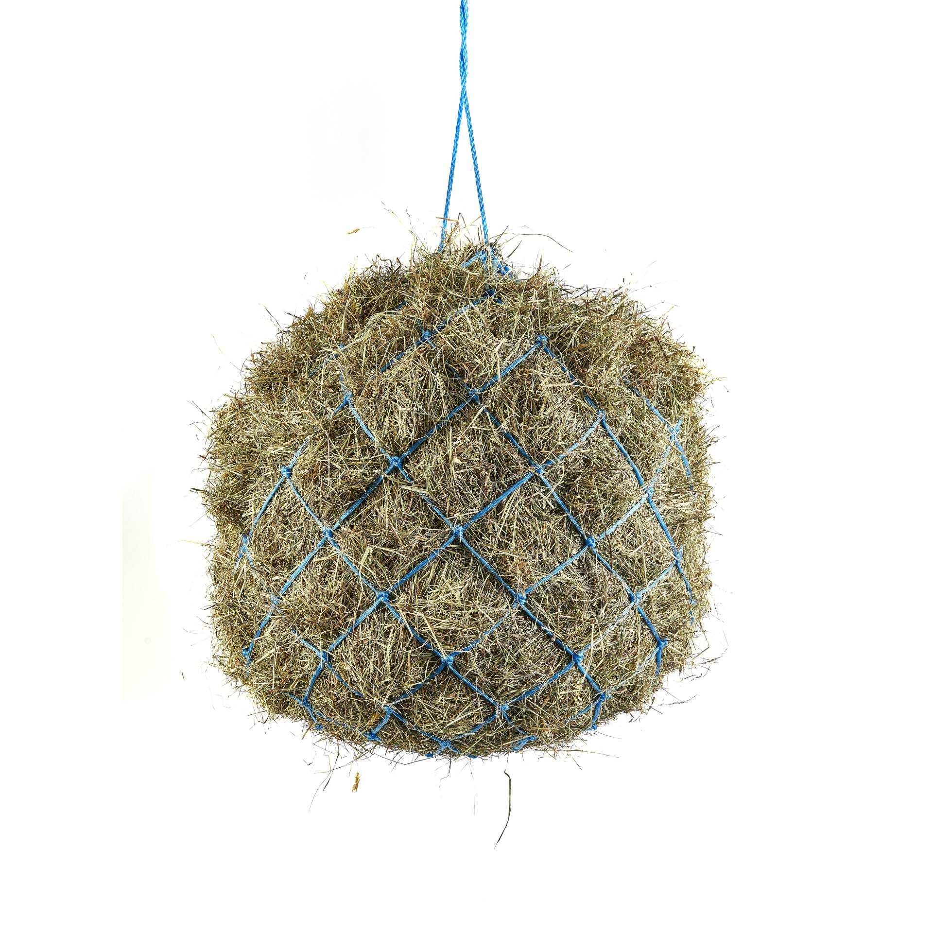 Shires Heunetz 6,5kg 10cm Maschenweite, Babyblau Shires Heunetz 6,5kg 10cm Maschenweite, Babyblau von Shires