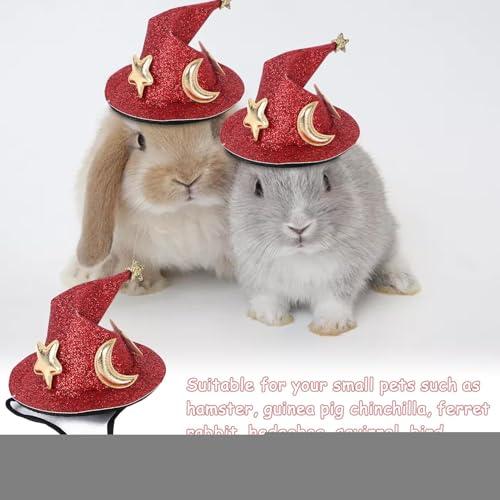 Shitafe Mini-Hamstermütze, Kleintiermütze - Party-Zaubererhut für Meerschweinchen,Kreative, lustige kleine Haustiermütze mit verstellbarem elastischem Kinnriemen für Partys, Haustiergeburtstage Shitafe Mini-Hamstermütze, Kleintiermütze - Party-Zaubererhut für Meerschweinchen,Kreative, lustige kleine Haustiermütze mit verstellbarem elastischem Kinnriemen für Partys, Haustiergeburtstage von Shitafe