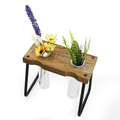 Shitafe Pflanzenvermehrungsstation Set | Tisch-Terrarium Mit Holzständer - Transparentes Pflanzgefäß als Wohnaccessoire für Schreibtisch Fensterbank von Shitafe