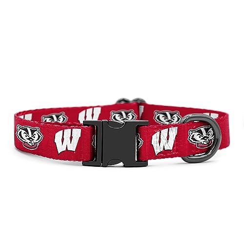 Wisconsin Badgers Halsbänder und Leinen | Offizielles Lizenzprodukt | passend für alle Haustiere (großes Halsband) von Shopinstapets