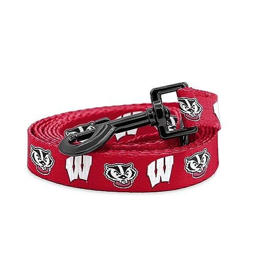 Wisconsin Dachs-Halsbänder und Leinen, offizielles Lizenzprodukt, passend für alle Haustiere. (1,8 m lange Leine) von Shopinstapets