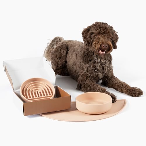 Should We Go? Komplettes Futterset für Haustiere, langsamer Futterspender & Wassernapf mit auslaufsicherer Silikonmatte – ideal für kleine bis mittelgroße Hunde, rutschfest, leicht zu reinigen, Should We Go? Komplettes Futterset für Haustiere, langsamer Futterspender & Wassernapf mit auslaufsicherer Silikonmatte – ideal für kleine bis mittelgroße Hunde, rutschfest, leicht zu reinigen, von Should We Go?