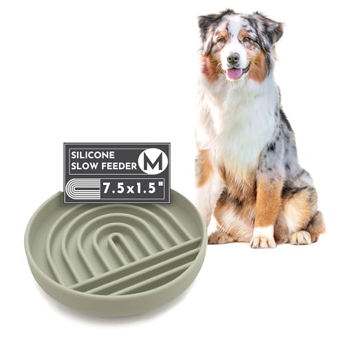 Slow Feeder Hundenapf: Der Slowdown Bowl ist EIN moderner Silikon-Puzzle-Schüssel und Leckmatte. Langsames Fressen, stoppen Sie das Gummeln, nehmen Sie es einfach. Spülmaschinenfest. Slow Feeder Hundenapf: Der Slowdown Bowl ist EIN moderner Silikon-Puzzle-Schüssel und Leckmatte. Langsames Fressen, stoppen Sie das Gummeln, nehmen Sie es einfach. Spülmaschinenfest. von Should We Go?