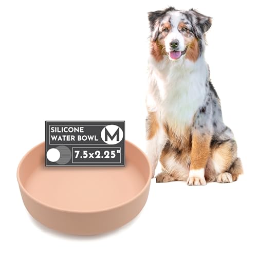 Wassernapf für Hunde, kein Verschütten – Premium-Silikon, auslaufsicherer Hundenapf mit Saugnapf, kein Trinknapf, Hundenäpfe mittlerer Größe, Hundenapf (Blush, mittelgroßer Hundenapf) von Should We Go?