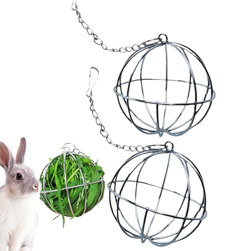 Hay Feeder Ball, 2 Stück Edelstahl Bunny Gras Kugel Kauspielzeug Häschen Spielzeug Feeder Meerschweinchen Gras Spender Ball Hängende Futterständer Haustierbedarf Futterspender für Hasen Hamster von Shouxiut