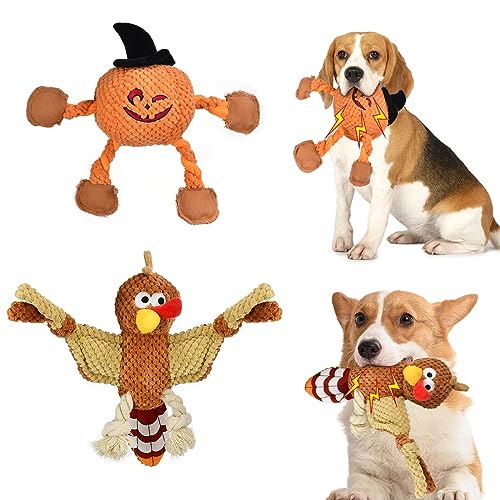 ShuRung Quietschendes Hundespielzeug für Halloween, Plüsch, gefüllt, Truthahn, Spielzeug für Welpen, robust, kleine Hunde, Kürbis-Spielzeug von ShuRung