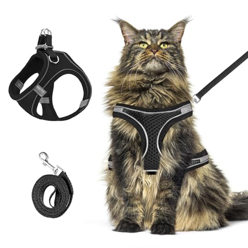 shudyear Brusttrage und Leine für Katzen, Anti-Ausbruch, leicht und weich, verstellbare Brusttrage und Leine mit reflektierendem Design, geeignet für Outdoor, Reisen (Schwarz, M) von Shudyear