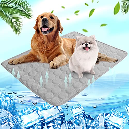 Shujin Kühlmatte Hunde Katzen für Sommer Kühlende Haustiermatte Selbstkühlend Waschbar Kühlpad wasserdichte Kühlkissen rutschfeste Komfortabel Kühlbett(Grau,L (70 * 55 cm)) von Shujin