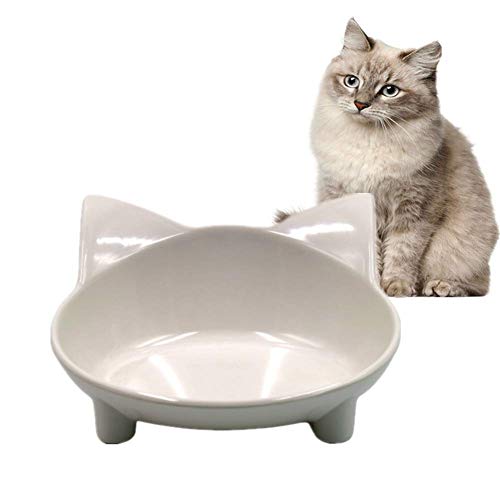 Anti Schling Napf Katzen Katzen Napfset Katzenschüsseln gekippt Hundenapf Welpenschalen klein Hundenäpfe Medium Hundenäpfe rutschfest Gray von Shulishishop