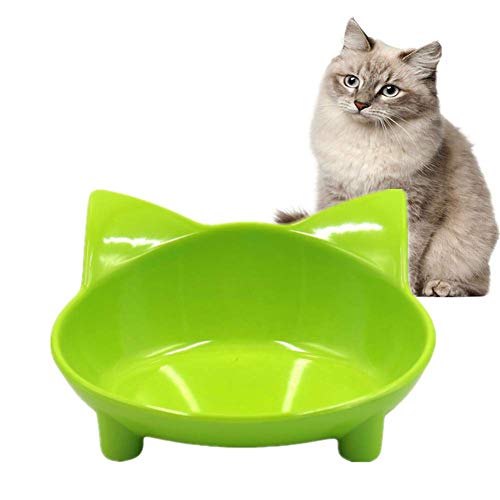 Anti Schling Napf Katzen Katzen Napfset Katzenschüsseln gekippt Hundenapf Welpenschalen klein Hundenäpfe Medium Hundenäpfe rutschfest Green von Shulishishop