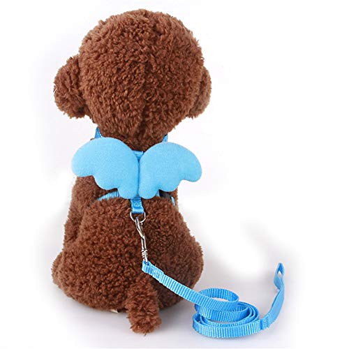 Hunde Leine Hundegeschirr Hundegeschirr Medium No Pull Verstellbarer Hundegeschirr Hundegeschirr führen Hundegeschirr und Bleisätze Blue,xs von Shulishishop