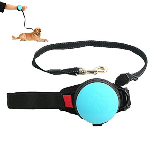 Hunde Leine Hundeleine Große Hunde Slip Lead für Hunde Einziehbare Hundeleine Hundeleine für kleine Hunde Ausbau der Hundeführung Blue von Shulishishop