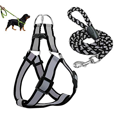 Hundegeschirr Kleine Hunde Hunde Leine Hundegeschirr Kleiner Hund Hundegeschirr führen Hundegeschirr klein verstellbar Hundeleine für kleine Hunde Black,l von Shulishishop