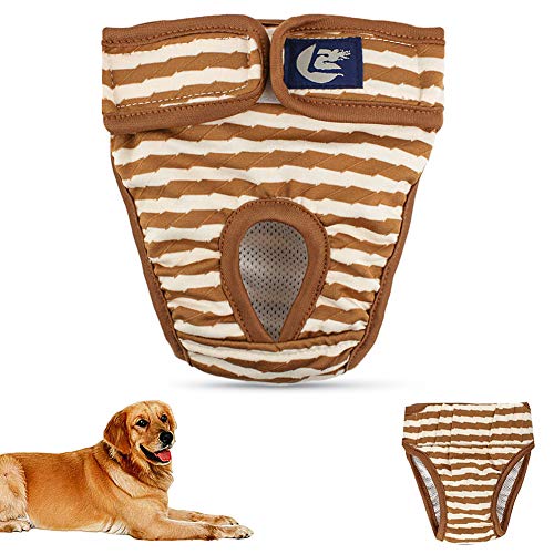 Hundewindel Hundewindeln RüDe Windel Hündin Hund Windeln weiblich klein Windeln für Hunde Hundesaison Hosen Hündin Windeln Hygienehosen für Hunde Brown,55 von Shulishishop