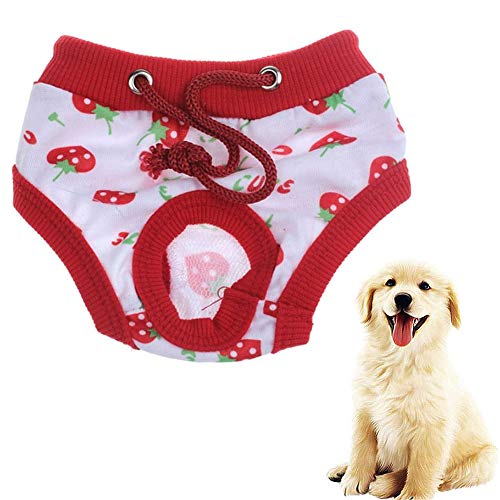 Hundewindeln FüR HüNdinnen Inkontinenz Hundewindeln RüDe Hundesaison Hose groß Hundehosen Hundewindeln Weibliches Medium Hund Windel männlich White,40 von Shulishishop