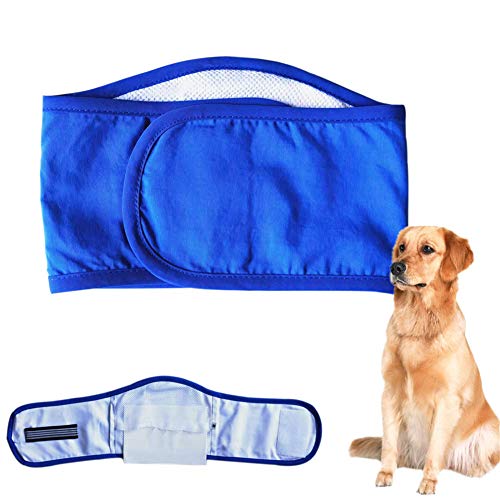 Hundewindeln Rüde Hunde Windeln Waschbare männliche Hundeverpackung Hund Windeln männlich Hundehose Rüde Windel Windeln für inkontinente Hunde Blue,l von Shulishishop