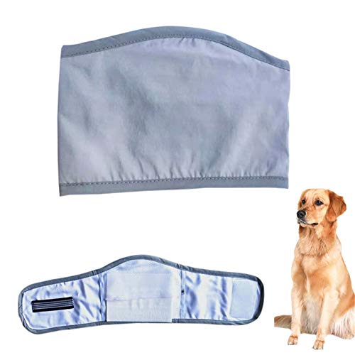 Hundewindeln Rüde Hunde Windeln Waschbare männliche Hundeverpackung Hund Windeln männlich Hundehose Rüde Windel Windeln für inkontinente Hunde Gray,m von Shulishishop