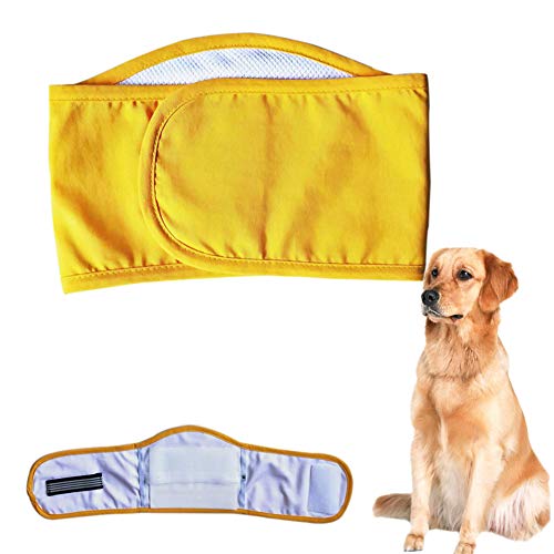 Hundewindeln Rüde Hunde Windeln Waschbare männliche Hundeverpackung Hund Windeln männlich Hundehose Rüde Windel Windeln für inkontinente Hunde Yellow,m von Shulishishop