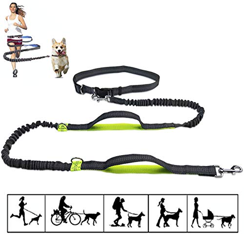 Joggingleine Hunde Hunde Leine Hundeleine für kleine Hunde Hundeleine bequem Hundetraining Lead Hand Free Dog Walking Belt Trainingsleitung für Hunde Green von Shulishishop