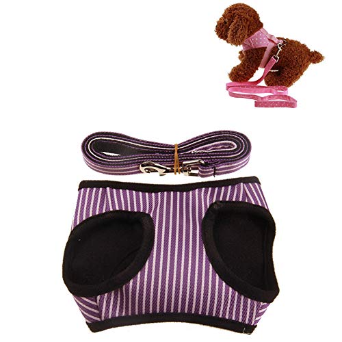 Katzenleine Hundegeschirr Hundewestengeschirr Hundegeschirr führen Katzengeschirr mit Blei Hundegeschirr Kleiner Hund Hundegeschirr und Bleisätze 2,XL von Shulishishop