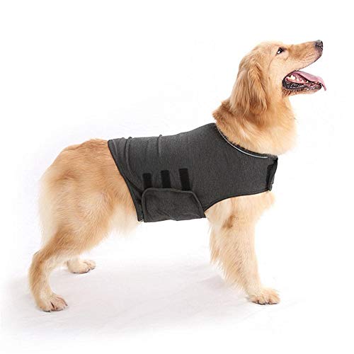 Shulishishop Anti Stress Weste Für Hunde Panikgeschirr Für Hunde Hund Anti Angst Angst Jacke Hund Angst Jacke Hundemäntel für große Hunde Dog Recovery Suits Gray,l von Shulishishop