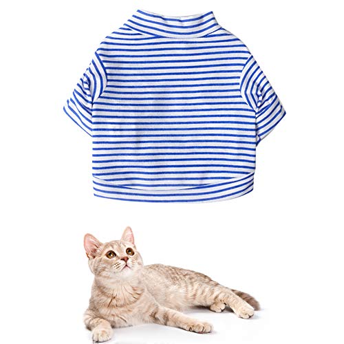 Shulishishop Französische Bulldogge Kleidung Hunde Klamotten Niedliche Kleidung Hundekleidung für kleine Hunde Chihuahua Kleidung Welpenmantel Blue,l von Shulishishop