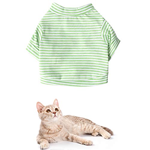 Shulishishop Französische Bulldogge Kleidung Hunde Klamotten Niedliche Kleidung Hundekleidung für kleine Hunde Chihuahua Kleidung Welpenmantel Green,s Shulishishop Französische Bulldogge Kleidung Hunde Klamotten Niedliche Kleidung Hundekleidung für kleine Hunde Chihuahua Kleidung Welpenmantel Green,s von Shulishishop