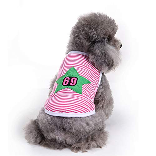 Shulishishop Hunde Mantel Sommer hundekleidung Sommer Katze Kleidung Haustiere Hundekleidung für kleine Hunde Welpenmantel Welpenkleidung 8,m von Shulishishop