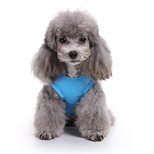 Shulishishop Hunde Mantel Sommer hundekleidung Sommer Katze Kleidung Haustiere Hundekleidung für kleine Hunde Welpenmantel Welpenkleidung 9,s von Shulishishop
