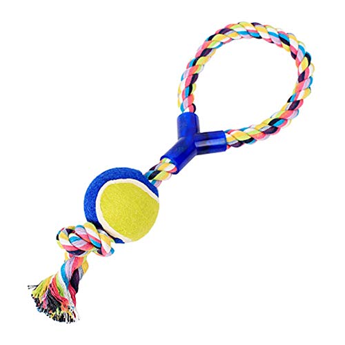 Shulishishop Hunde Spielzeug Kleine Hunde Hunde Spielzeug Hundekauspielzeug Hundeseil Spielzeug Seil Hundespielzeug Welpenspielzeug Ab 8 Wochen 1pcs von Shulishishop