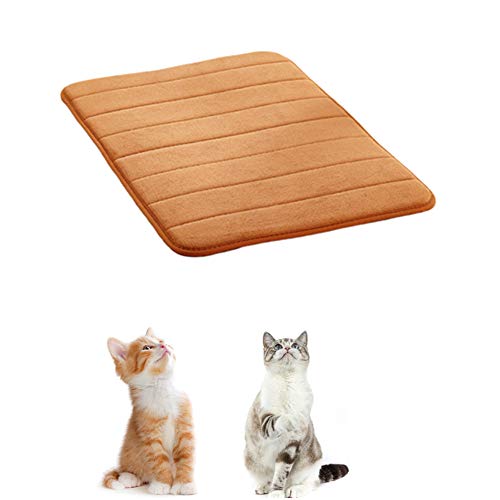 Shulishishop Katzendecke Hundedecken Hundebett Zubehör Katzenbetten Weiche Katze Mat Hundebettwäsche Luxus Hundebett Kätzchenbett Flauschige Katze Mat Khaki,XL Shulishishop Katzendecke Hundedecken Hundebett Zubehör Katzenbetten Weiche Katze Mat Hundebettwäsche Luxus Hundebett Kätzchenbett Flauschige Katze Mat Khaki,XL von Shulishishop