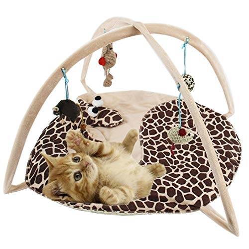 Shulishishop Katzenspielzeug Interaktives Katzenspielzeug Cat Treat Spielzeug Katzen Zauberstab Interaktives Katzenspielzeug für Indoor-Katzen Brown von Shulishishop