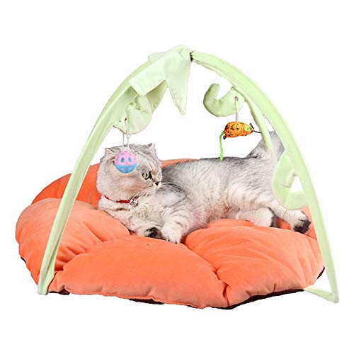 Shulishishop Katzenspielzeug Interaktives Katzenspielzeug Cat Treat Spielzeug Katzen Zauberstab Interaktives Katzenspielzeug für Indoor-Katzen orange von Shulishishop